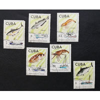 Куба 1975 г. Промысловые виды рыб. Корабли, полная серия из 6 марок #0106-Ф2P20