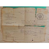 Паспорт временный, РИ, Владимирской губ., до 1917 г.