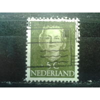 Нидерланды 1949 Королева Юлиана 5с