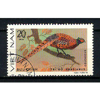 1979 Вьетнам. Обыкновенный фазан