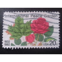 США 1982 розы