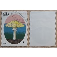 Куба 1988 Ядовитые грибы.2 с