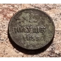 Полушка 1858 год