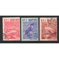 Птицы Албания 1961 год серия из 3-х марок