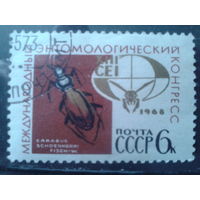 1968 Конгресс по энтомологии