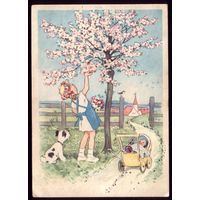 Германия Цветущая яблоня и девочка с коляской
