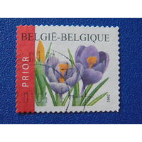 Бельгия 2002 г. Цветы.