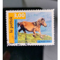 Франция 1998. Фауна. Лошадь
