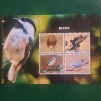 Кабо-Верде 2016. Фауна. Птицы. Малый лист