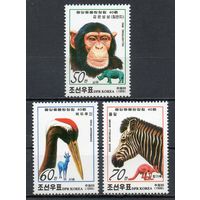 40 лет зоопарку в Пхеньяне КНДР 1999 год серия из 3-х марок
