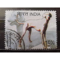 Индия 2005 Собака, концевая