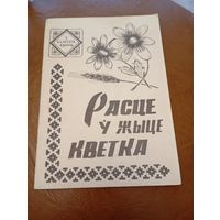 Расце у жыце кветка