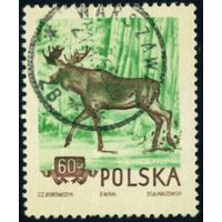 Охраняемые животные Польши 1954 год 1 марка