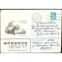 1982 год ХМК Пеликан 82-607