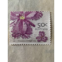 Австралия 2005. Флора. Цветы