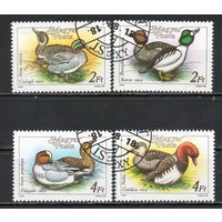 Дикие утки Венгрия 1988 год 4 марки