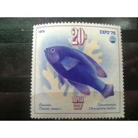 СССР 1975 рыба