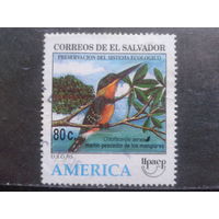 Сальвадор, 1995. Мангровый зимородок