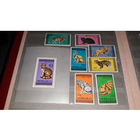 Кошки Монголия фауна марки - 7 марок и блок