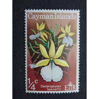 Британские Каймановы острова 1971 г. Орхидеи.