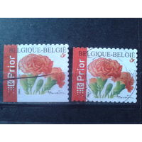Бельгия 2004 Стандарт, цветы, марки из буклета