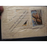 Спичечные этикетки: сувенирный набор :"Занасены в красную книгу". ф-ка Балабаново