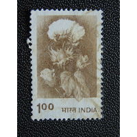 Индия 1980 г. Флора.