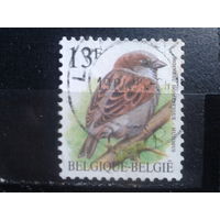 Бельгия 1994 Стандарт, птица 13 франков