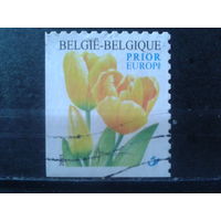 Бельгия 2003 Желтые тюльпаны, угловая марка в буклете