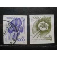Польша, 1990, Стандарт, лекарственные растения,без перф., полная серия