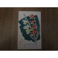 Почтовая карточка.1969г.Пинская типография.