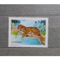 Перу. Фауна.