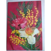 Открытка ,цветы ,,дергилева , 1976 г. чистая