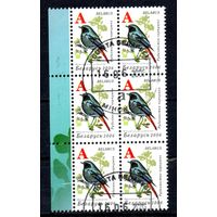 Девятый стандартный выпуск "Птицы сада" Беларусь 2006 год (650) 1 марка в шестиблоке (мелованная бумага)