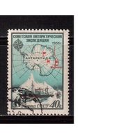 СССР-1956, (Заг.1864),  гаш.(с клеем), Антарктическая экспедиция