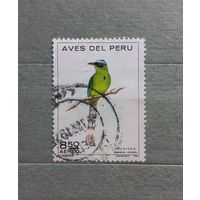 Перу. Фауна.