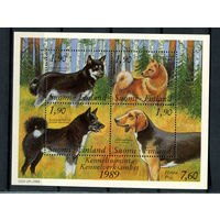 Финляндия - 1989 - Собаки - [Mi. bl. 5] (пятна на клее) - 1 блок. MNH.  (Лот 142BF)