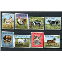 Панама - 1966 - Домашние животные - [Mi. 956-963] - полная серия - 8 марок. Гашеные.  (Лот 86Fe)-T25P14