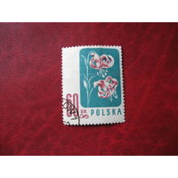Марка Цветы Польша 1957 год