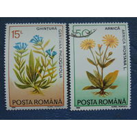 Румыния 1993 г. Цветы.