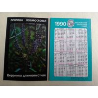 Карманный календарик. Природа Подмосковье. Вероника длиннолистная. 1990 год