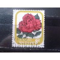 Новая Зеландия 1975 Роза 8с