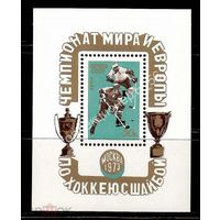 Марки СССР 1973 год. Блок. Чемпионат мира и Европы. 4222.