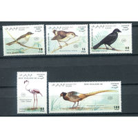 Западная Сахара - 1990г. - Птицы Новой Зеландии - полная серия, MNH - 5 марок