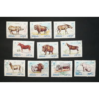 Оман 1972 г. Животные. Фауна, полная серия из 10 марок #0085-Ф2P15