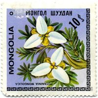 Марка МНР 1979 г. (по каталогу Mi:MN #1208), негаш. Цветы.  Potaninia mongolica.