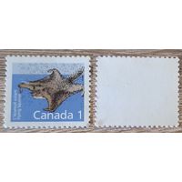 Канада 1991 Канадские млекопитающие.Северная летяга.Mi-CA 1102xF. Перф 13 х 12 1/2