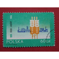 Польша 1965г. Флора.