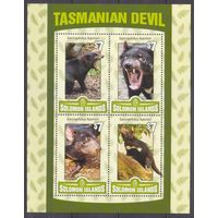 2016 Соломоновы острова 3586-3589KL Фауна - Тасманский дьявол 8,50 евро