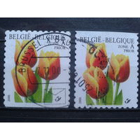 Бельгия 2000 Тюльпаны, марки из буклета
